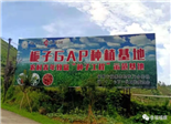 一步跨兩??！福鼎探索省界共建共治共享模式
