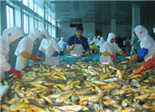 海鷗水產入選國家重點龍頭企業