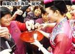 福鼎白茶上海刮“旋風”