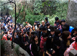 太姥山春節游 散客占九成