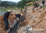 點頭鎮觀洋村的蘿九小山塘應急加固整治工程施工